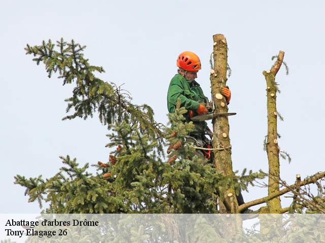 Abattage d'arbres 26 Drôme  Tony Elagage 26