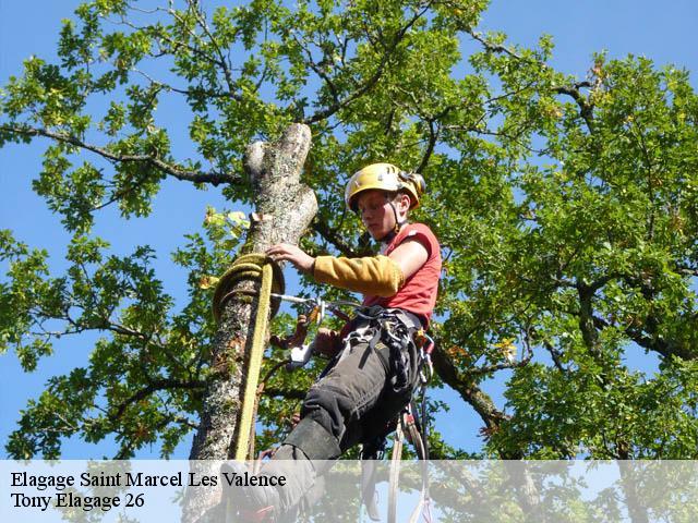 Elagage saint-marcel-les-valence-26320 Tony Elagage 26
