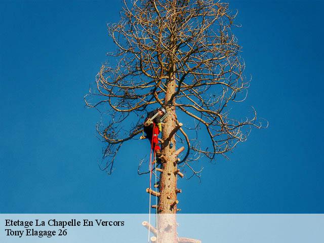 Etetage  la-chapelle-en-vercors-26420 Tony Elagage 26