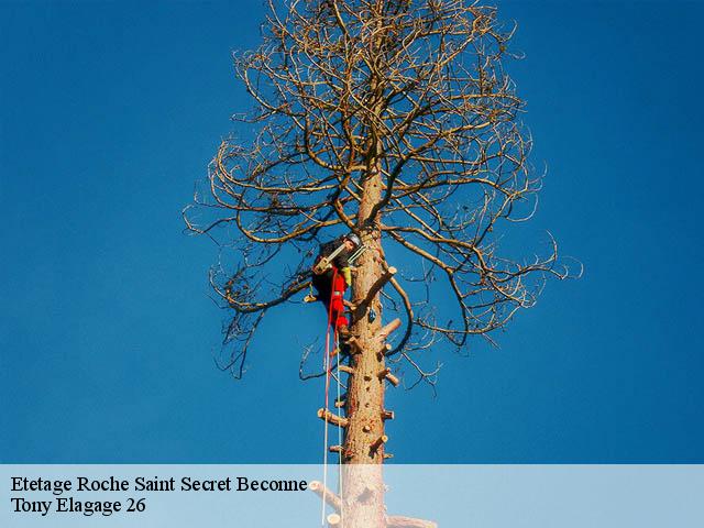 Etetage roche-saint-secret-beconne-26770 Tony Elagage 26