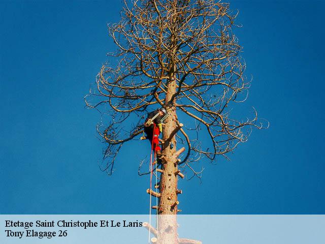 Etetage  saint-christophe-et-le-laris-26350 Tony Elagage 26