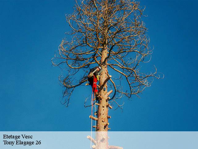 Etetage vesc-26220 Tony Elagage 26