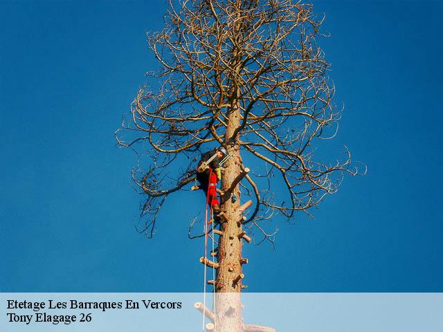 Etetage  les-barraques-en-vercors-26420 Tony Elagage 26