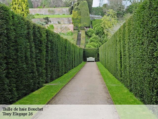 Taille de haie bouchet-26790 Tony Elagage 26