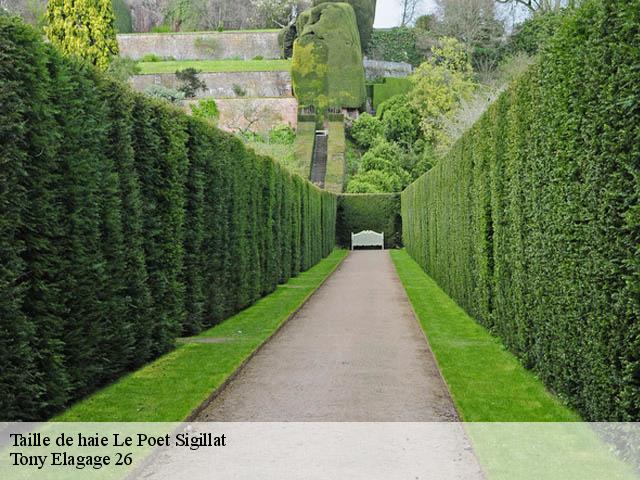 Taille de haie le-poet-sigillat-26110 Tony Elagage 26