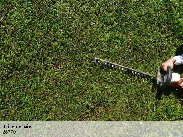 Taille de haie 26770