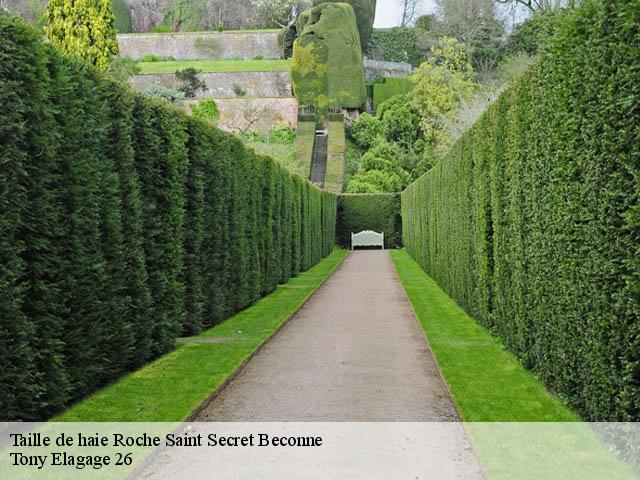 Taille de haie roche-saint-secret-beconne-26770 Tony Elagage 26