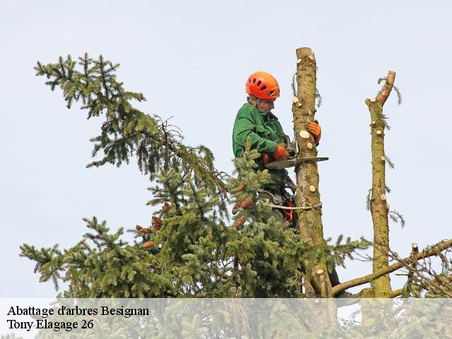 Abattage d'arbres  besignan-26110 Tony Elagage 26