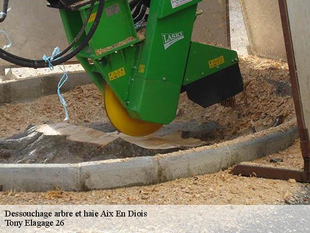 Dessouchage arbre et haie aix-en-diois-26150 Tony Elagage 26