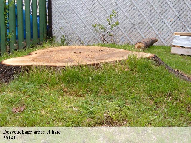 Dessouchage arbre et haie  26140