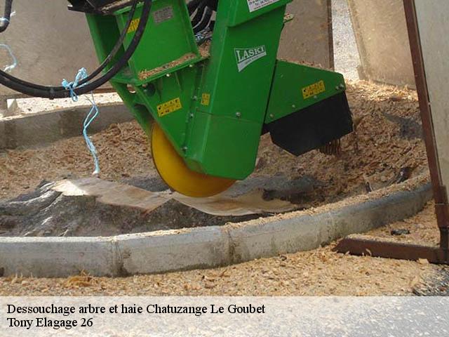 Dessouchage arbre et haie chatuzange-le-goubet-26300 Tony Elagage 26