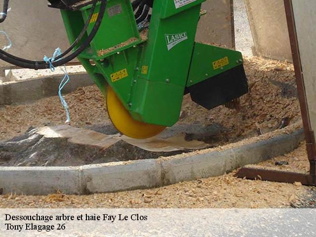 Dessouchage arbre et haie  fay-le-clos-26240 Tony Elagage 26