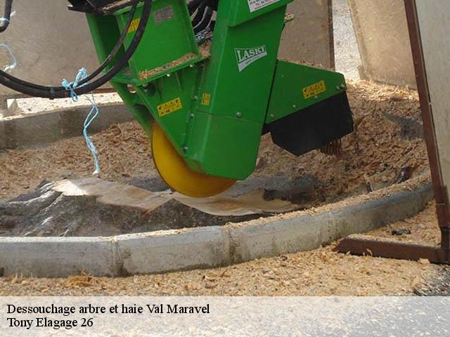 Dessouchage arbre et haie val-maravel-26310 Tony Elagage 26