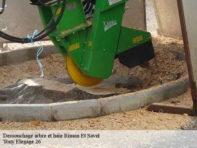 Dessouchage arbre et haie rimon-et-savel-26340 Tony Elagage 26