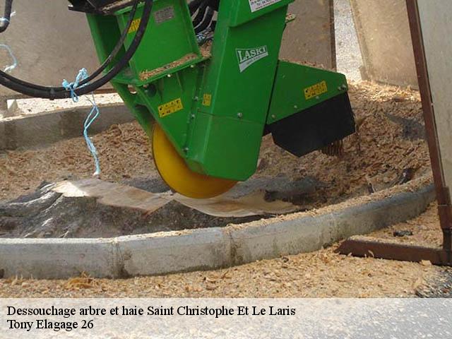 Dessouchage arbre et haie saint-christophe-et-le-laris-26350 Tony Elagage 26