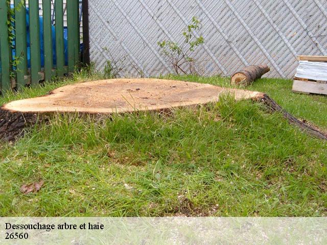 Dessouchage arbre et haie 26560