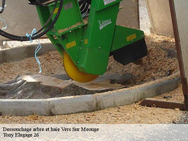 Dessouchage arbre et haie vers-sur-meouge-26560 Tony Elagage 26