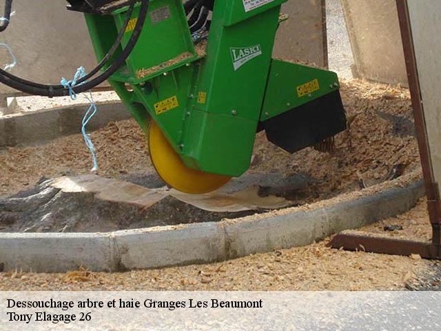 Dessouchage arbre et haie granges-les-beaumont-26600 Tony Elagage 26