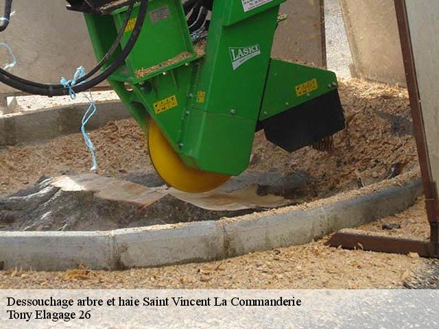 Dessouchage arbre et haie saint-vincent-la-commanderie-26300 Tony Elagage 26
