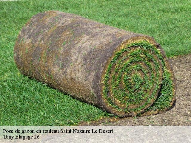 Pose de gazon en rouleau saint-nazaire-le-desert-26340 Tony Elagage 26