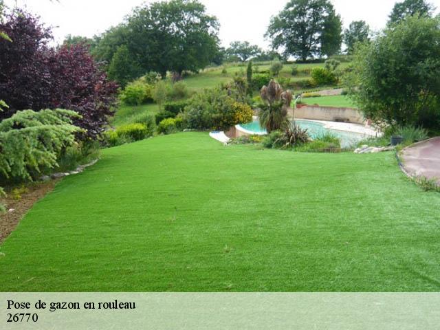 Pose de gazon en rouleau 26770